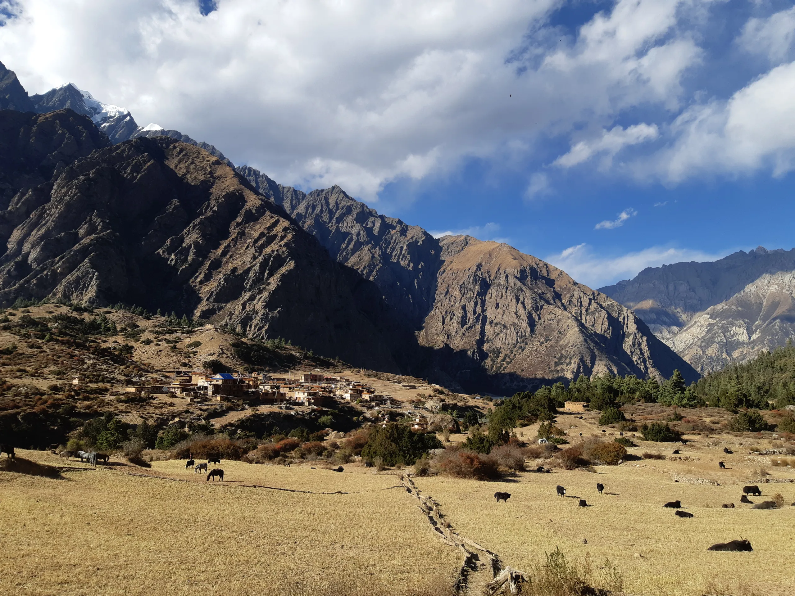 Remote teahouses Dolpa shelter hospitality
