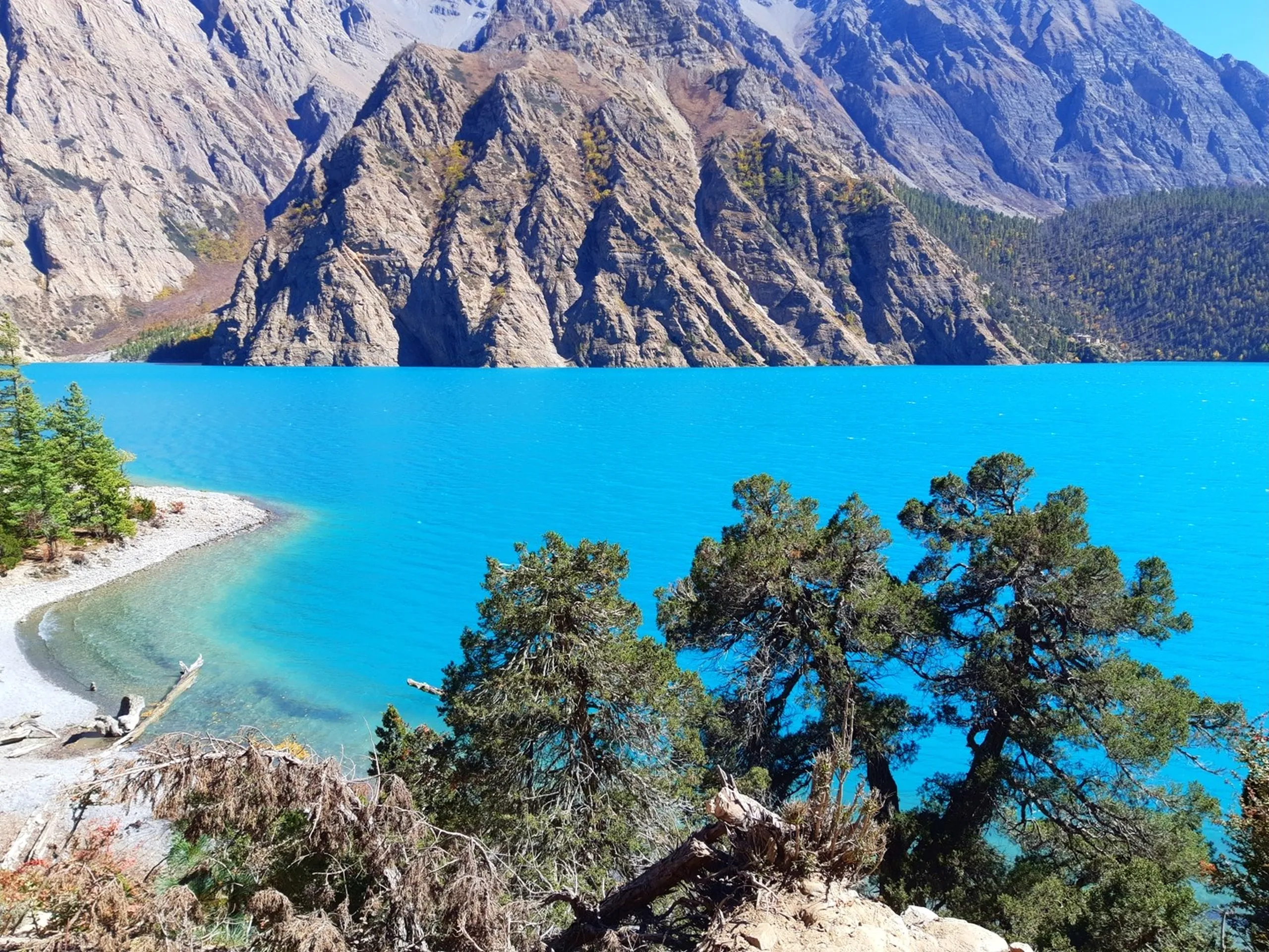 Some places are beautiful. Shey Phoksundo is something else entirely. Every viewpoint revealed a new masterpiece.

Monasteries rested quietly above the water, autumn colors painted the hillsides, and from high above the lake glowed like a hidden jewel inside the Himalayas. No camera, drone, or filter truly captures the feeling of standing there. You simply have to experience it yourself.