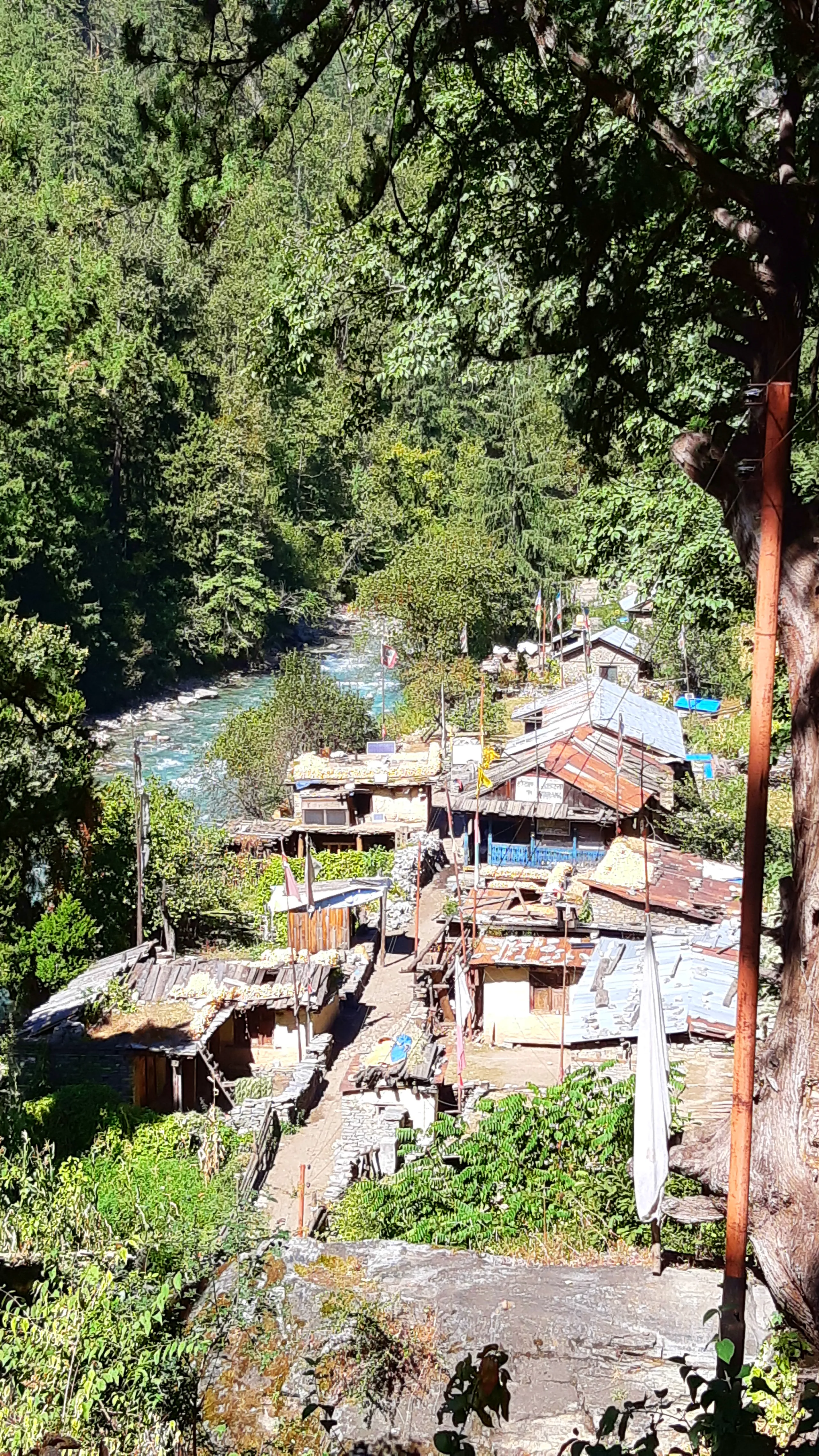 A bird's-eye view of a tiny, remote mountain village nestled deep within a dense forest. Modest wooden and corrugated metal-roofed structures are clustered tightly together, their rooftops in various states of rust and wear. Tall pine and conifer trees to