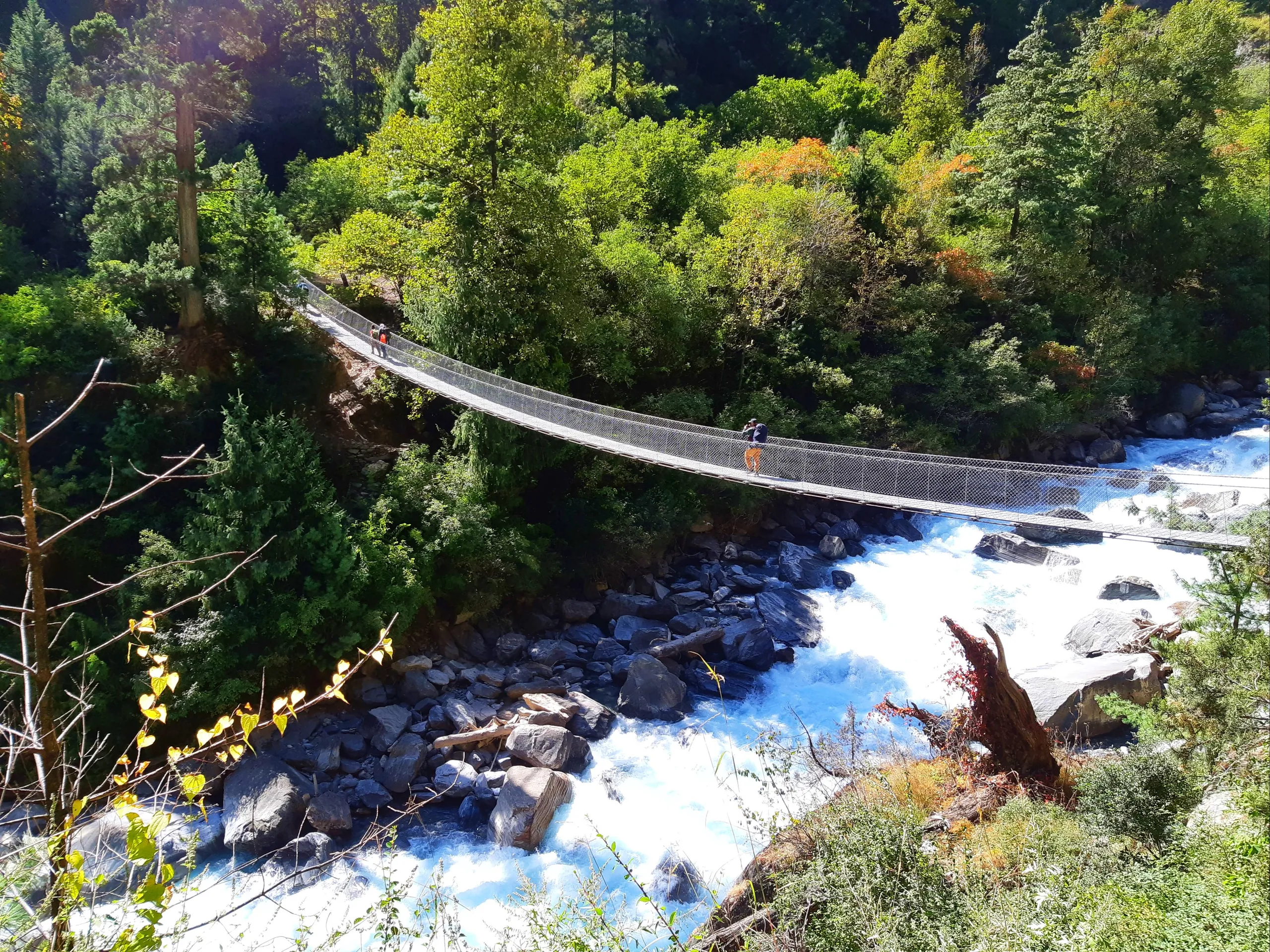 A long, elegant suspension bridge arches gracefully over a powerful, white-frothing river deep in a forested mountain gorge. The bridge is composed of steel cables, wooden planks, and metal wire sides - typical of trekking trail crossings in Nepal. Far be