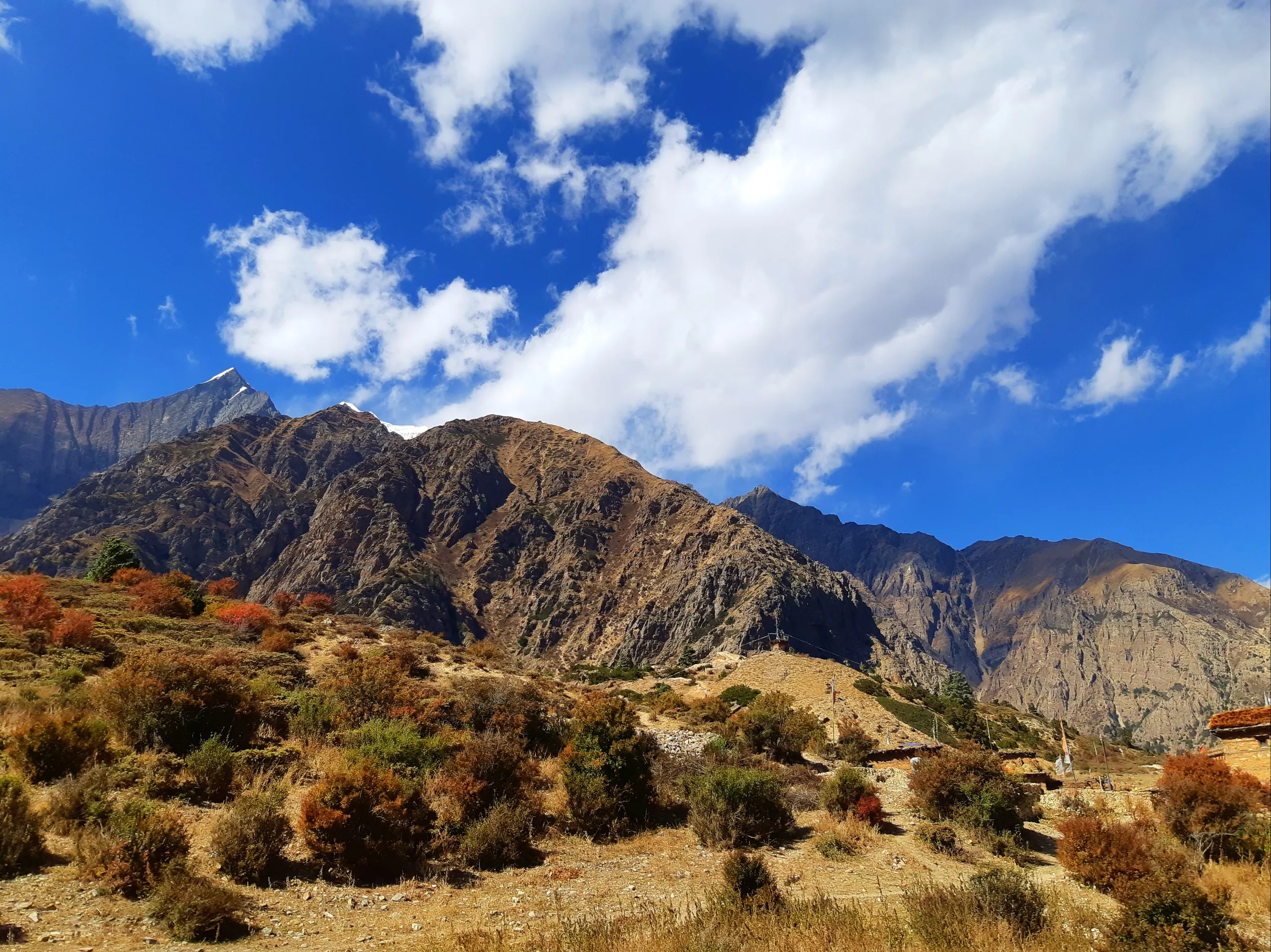 A wide, open mountain landscape at high altitude. The foreground is covered in low golden-brown scrubby bushes and shrubs, with patches of vivid autumn red and orange foliage scattered among the dry grasses. The terrain rises steeply toward the right, whe