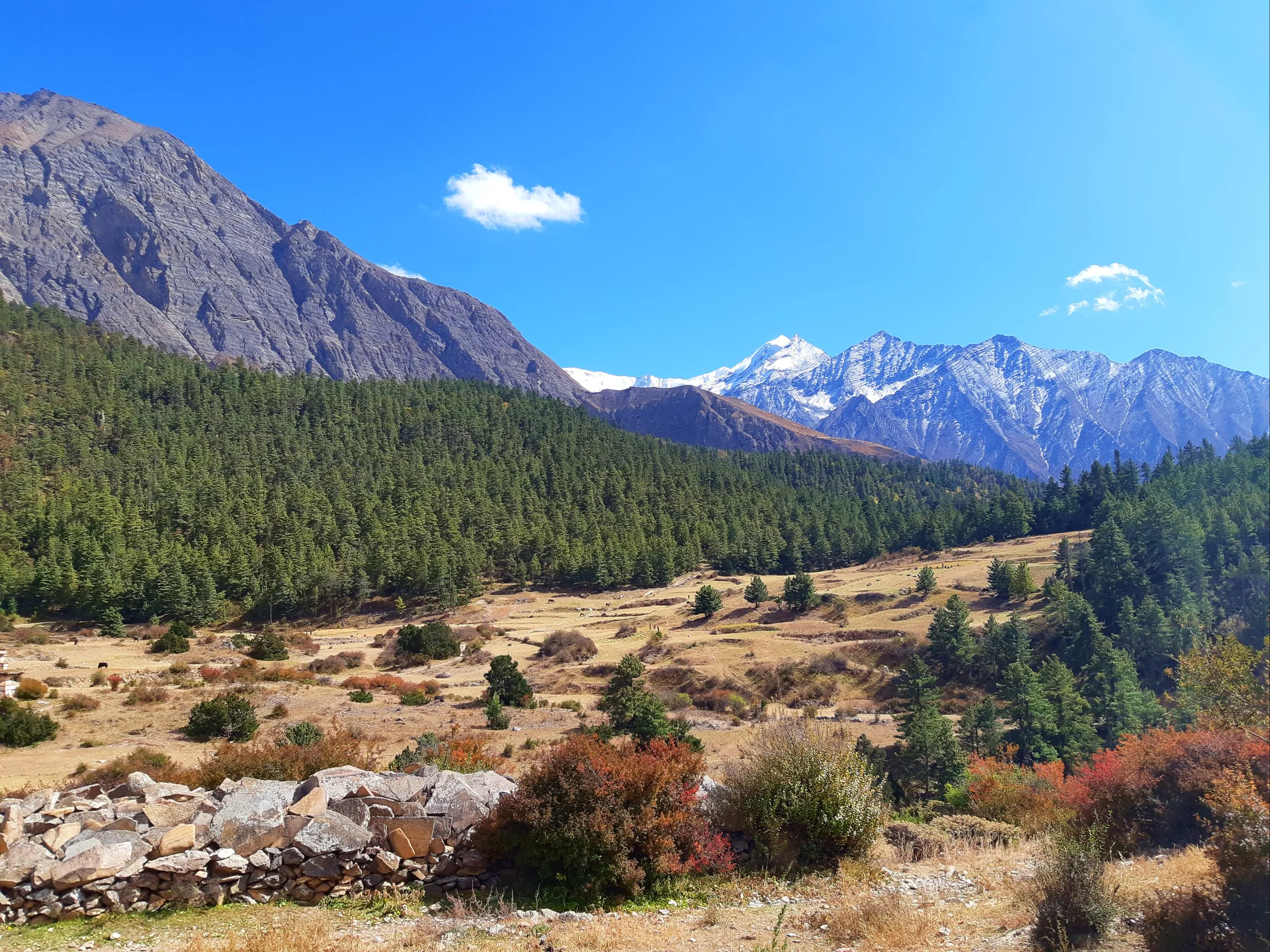 A tranquil mountain valley scene glowing with the colors of autumn. The broad valley floor and lower slopes are covered in a dense, lush green forest of pine and conifer trees. Scattered throughout the green are vivid splashes of deep red and orange autum