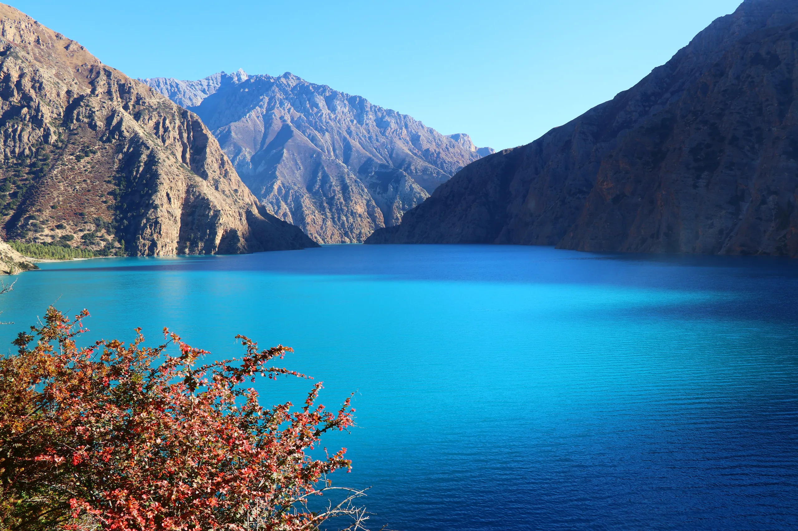 The most vivid and intimate portrait of Phoksundo Lake in the collection. The lake's water dominates the frame in an almost electric, jewel-like turquoise-blue - so intense it appears unreal, like liquid gemstone. Framing the upper left corner, a branch o
