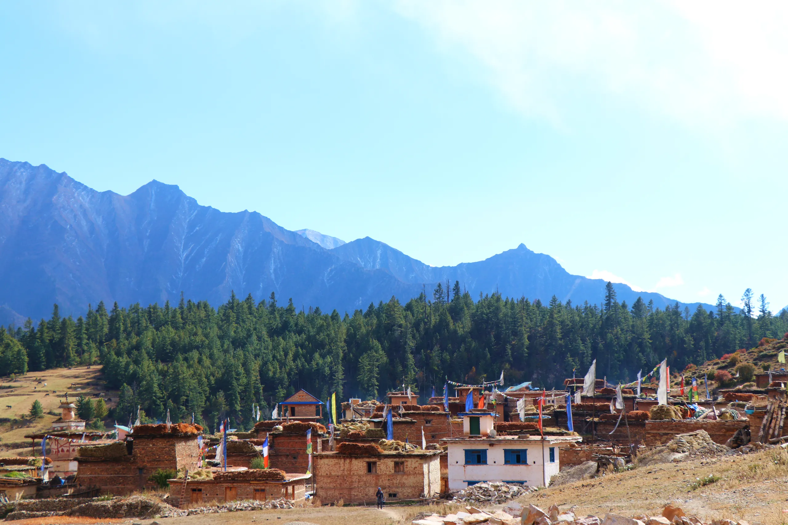 A picturesque Himalayan village - likely Ringmo, the gateway village to Phoksundo Lake - sits in a mountain valley in warm afternoon light. The cluster of traditional flat-roofed stone and mud-brick houses is painted in earthy orange-brown tones, with a f