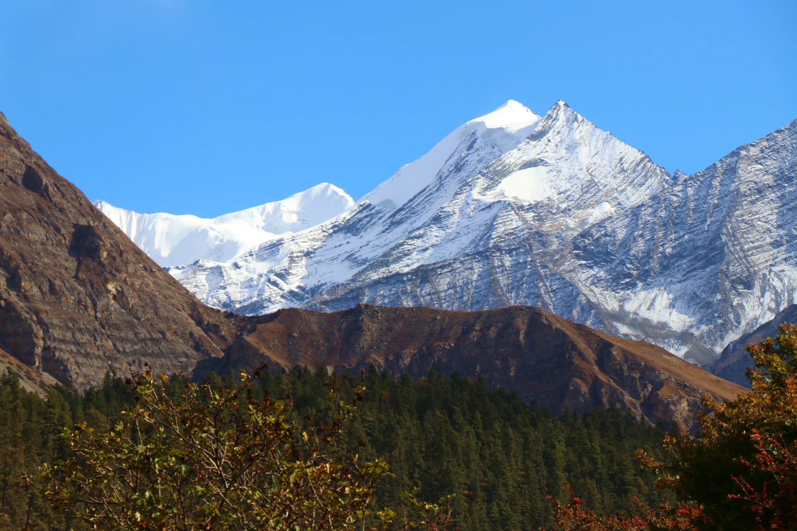 A majestic view of a heavily glaciated Himalayan peak, its summit and upper ridgelines entirely cloaked in brilliant white snow and ice. The peak rises sharply and dramatically against a deep, cloudless cobalt-blue sky. Below the snowline, the mountain tr