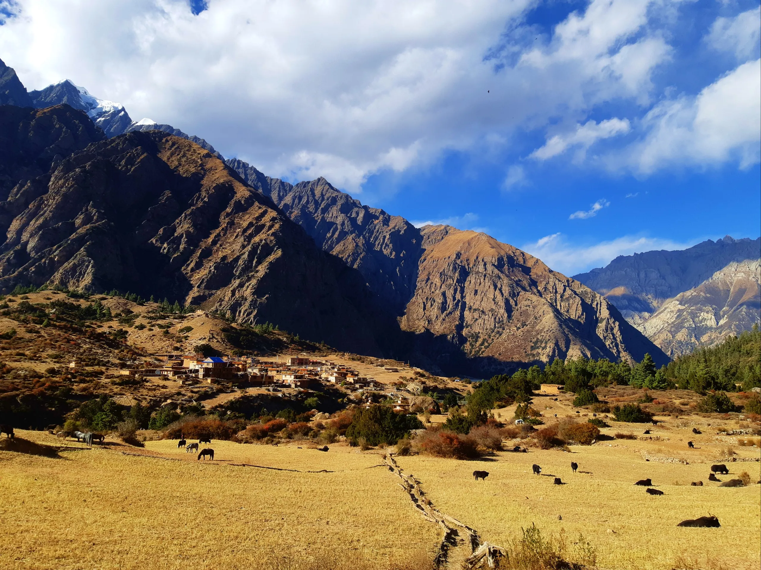 A sweeping, wide-angle view of a high-altitude mountain valley with a broad, flat floor of dry golden-yellow grass and bare earth. A small cluster of simple stone structures - a tiny remote settlement - sits in the middle distance on the left side of the 