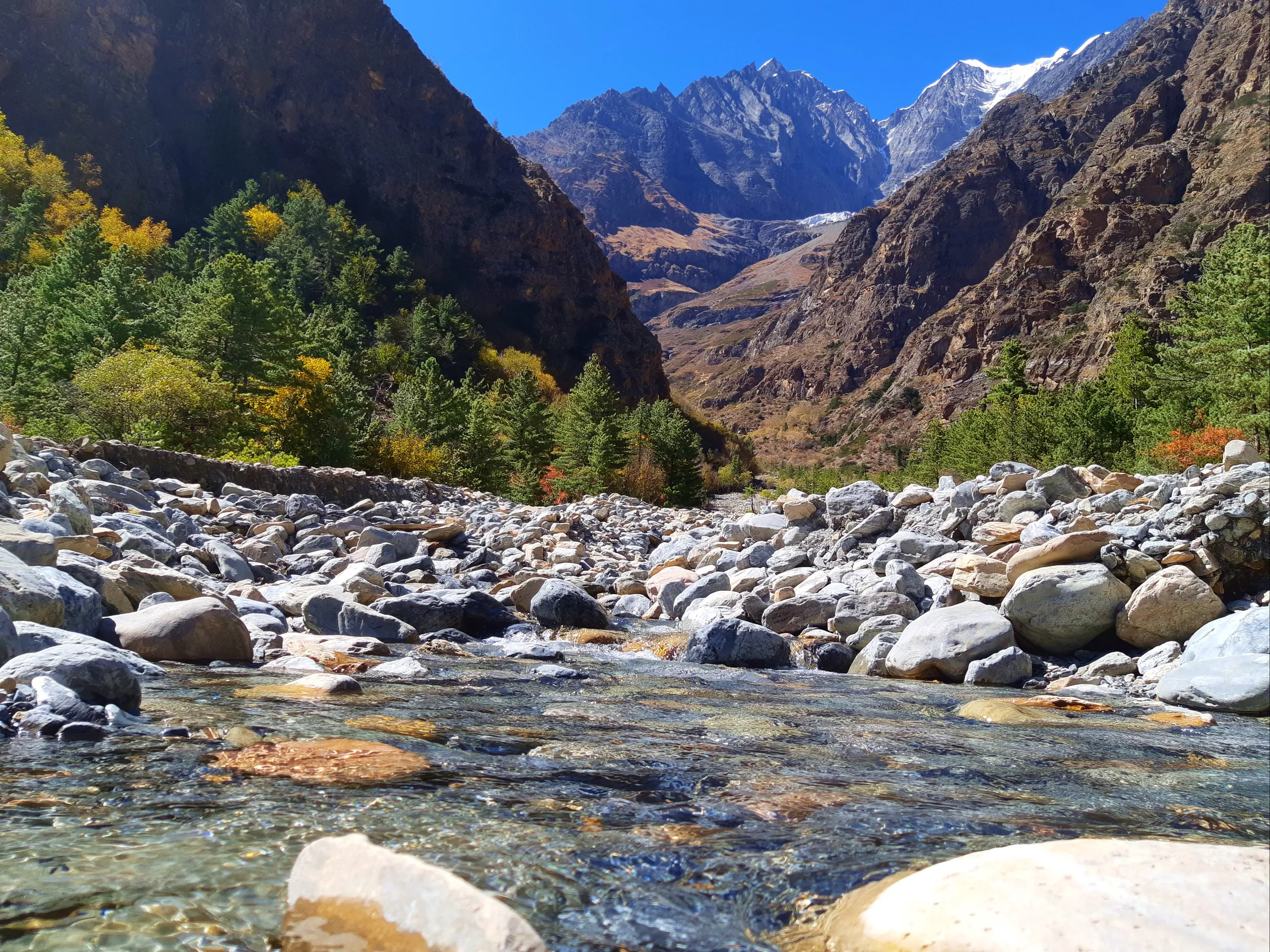 A gorgeous mountain valley stream scene, alive with color and clarity. In the foreground, crystal-clear water flows gently over and around large, smooth rounded boulders - the water so transparent that every stone beneath the surface is perfectly visible,