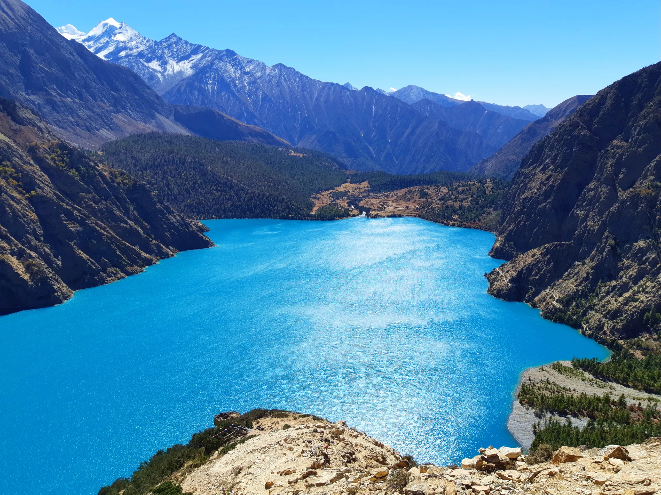 A commanding elevated panorama of a vast alpine lake - almost certainly Phoksundo Lake - viewed from a rocky, sun-baked clifftop vantage point. The lake stretches wide and long through the center of the frame, its water an almost impossibly vivid electric