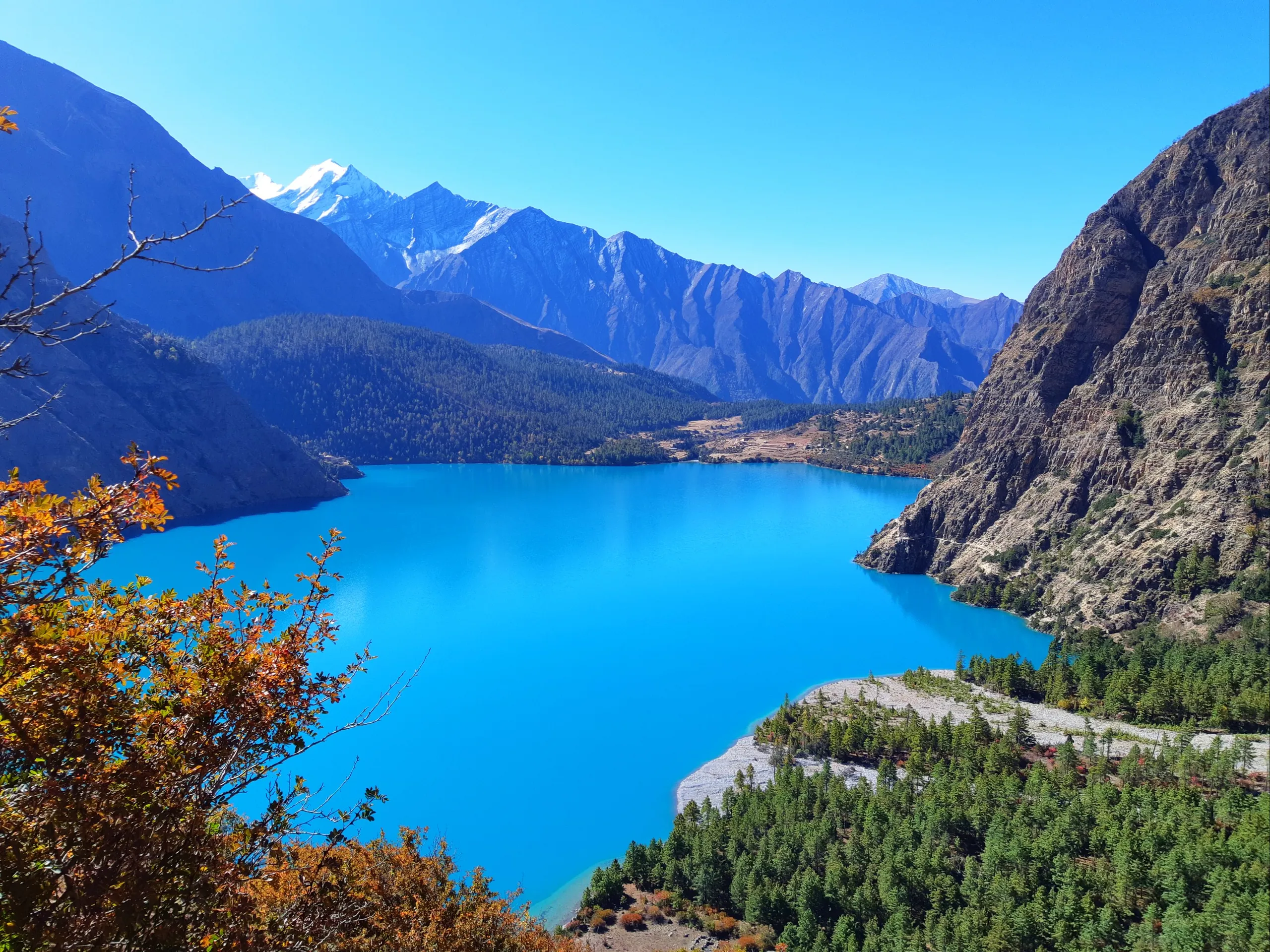 A wide, sweeping elevated view of the turquoise lake from a different angle, revealing more of its full length and shape. The lake's color is a vivid, electric blue-turquoise - luminous and almost fluorescent. Dense dark green pine forests clothe the slop