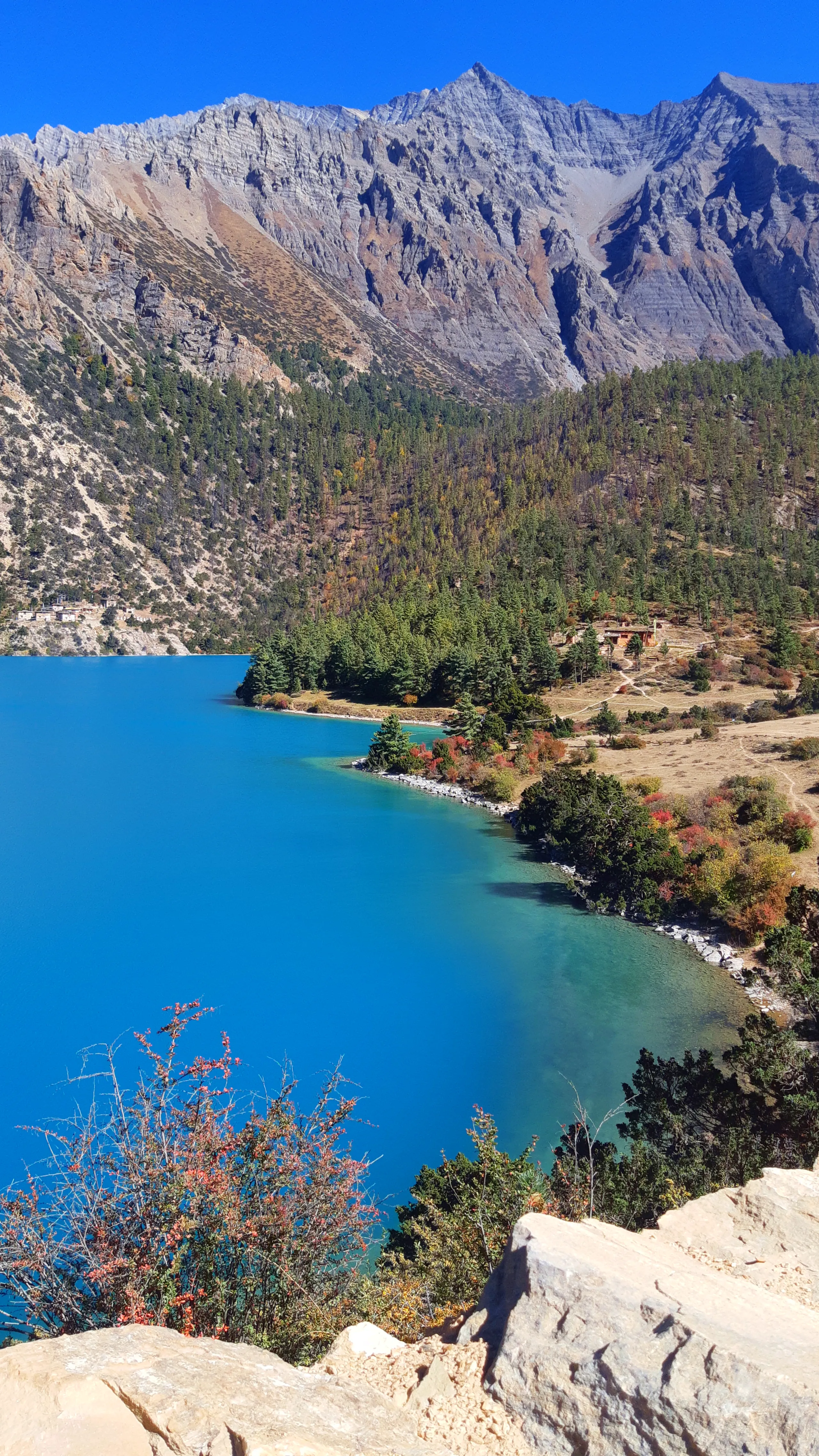 A tall, vertically composed view of the lake from an elevated rocky overlook. In the immediate foreground, pale grey boulders and red-orange autumn shrubs occupy the lower portion of the frame. Below and beyond them, the lake's brilliant turquoise water s