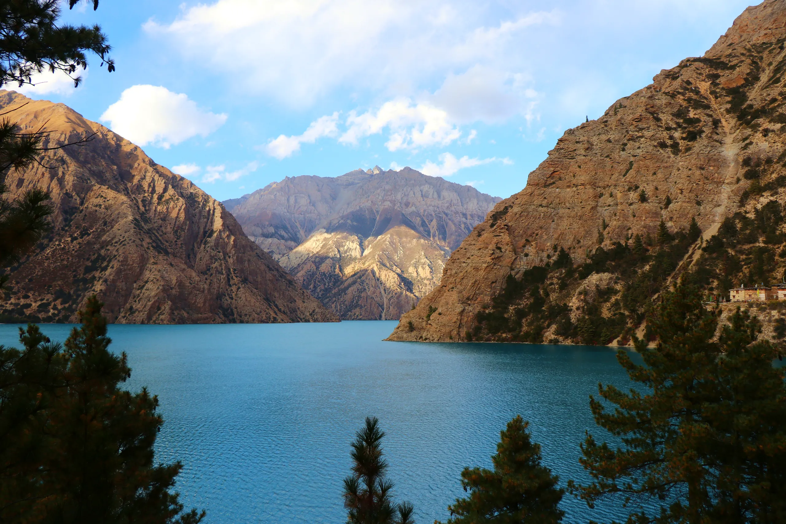 A warm-lit, balanced view of the lake in what appears to be late afternoon light. Several dark green conifer trees occupy the lower foreground, their tops reaching toward the middle of the frame. The lake beyond is a medium, deep blue - still vivid but wa
