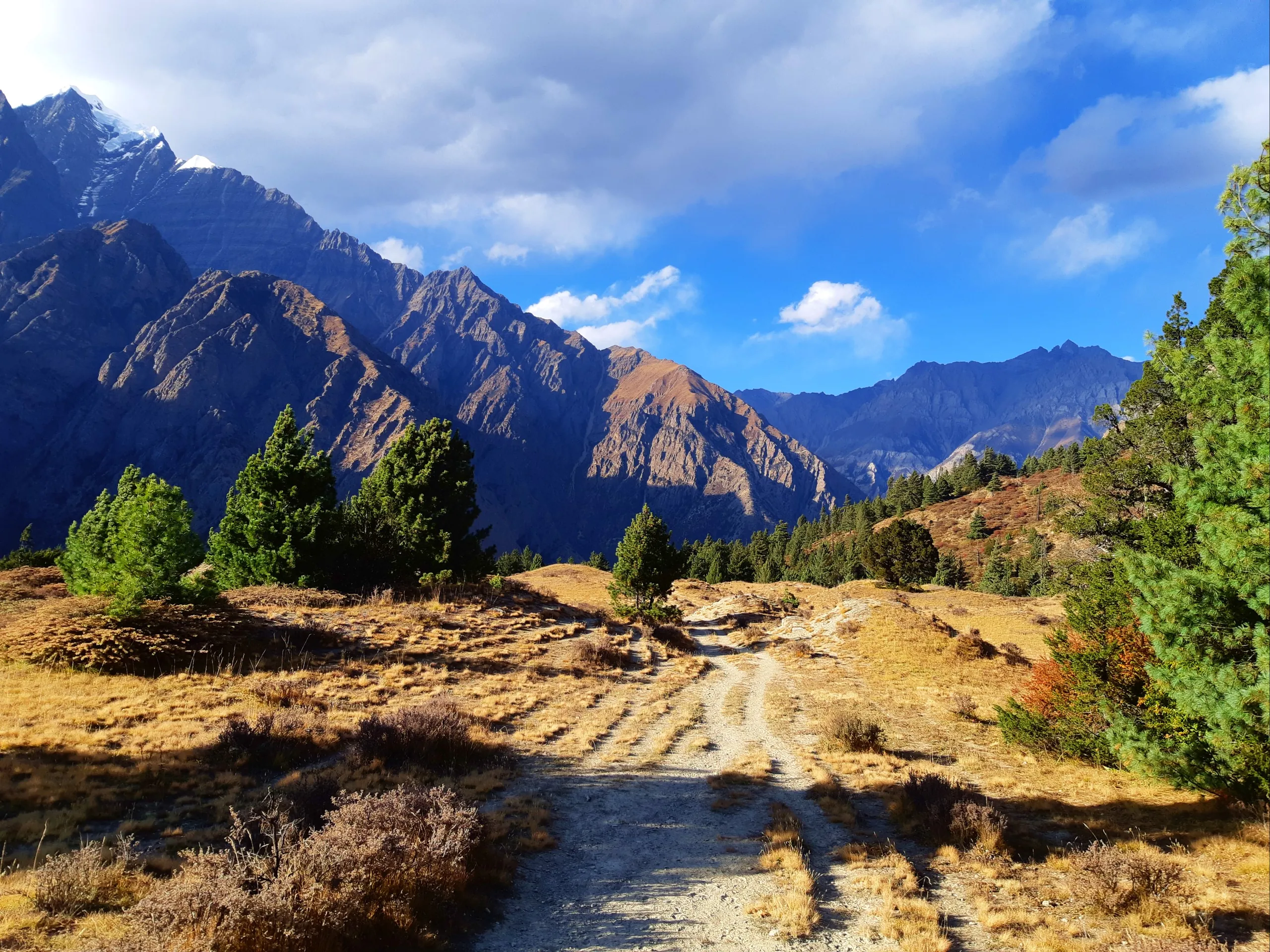 A trekking trail winds through an open, high-altitude mountain landscape. The path itself is narrow, rough, and stony - more of a worn track than a proper trail - cutting diagonally through the center of the frame from lower left toward the background. On