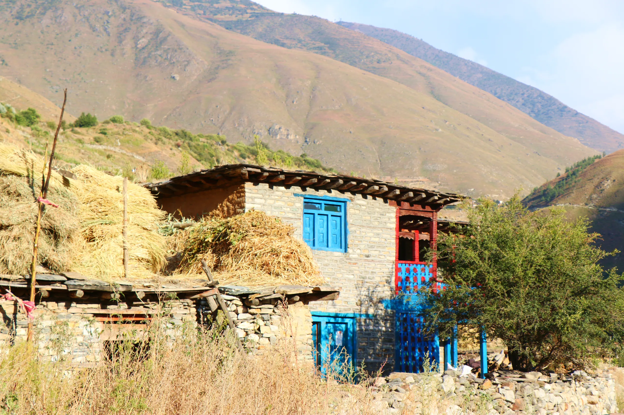 A humble but characterful mountain village home. The building is constructed of irregular grey stone blocks, with a flat roof covered in piled straw and hay - the traditional flat-roof style of high-altitude Himalayan villages. What immediately draws the 
