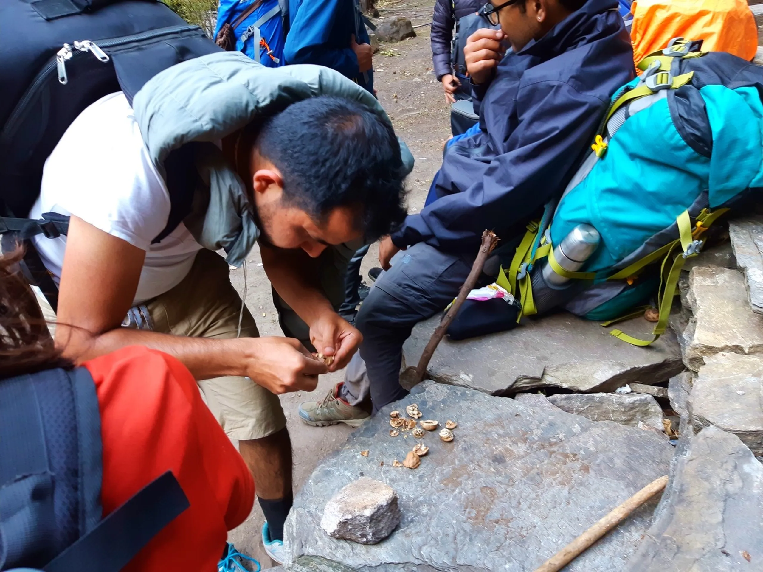 A candid trekking scene showing a young South Asian male trekker crouching on a flat grey boulder in a white t-shirt and khaki shorts with a light grey sleeveless vest, carefully cracking open wild walnuts with a stone, scattered walnut shells and whole walnuts spread across the rock face around him, a trekking stick and another resting trekker in a dark jacket visible behind him alongside colorful teal and orange backpacks, the group having paused to forage wild walnuts naturally fallen from trees along the Himalayan trail, Nepal wild walnut foraging trek, Shey Phoksundo trekking trail snacks, Himalayan walnut trees Nepal, authentic trekking experience Nepal, foraging Nepal mountains, Dolpa Nepal wilderness