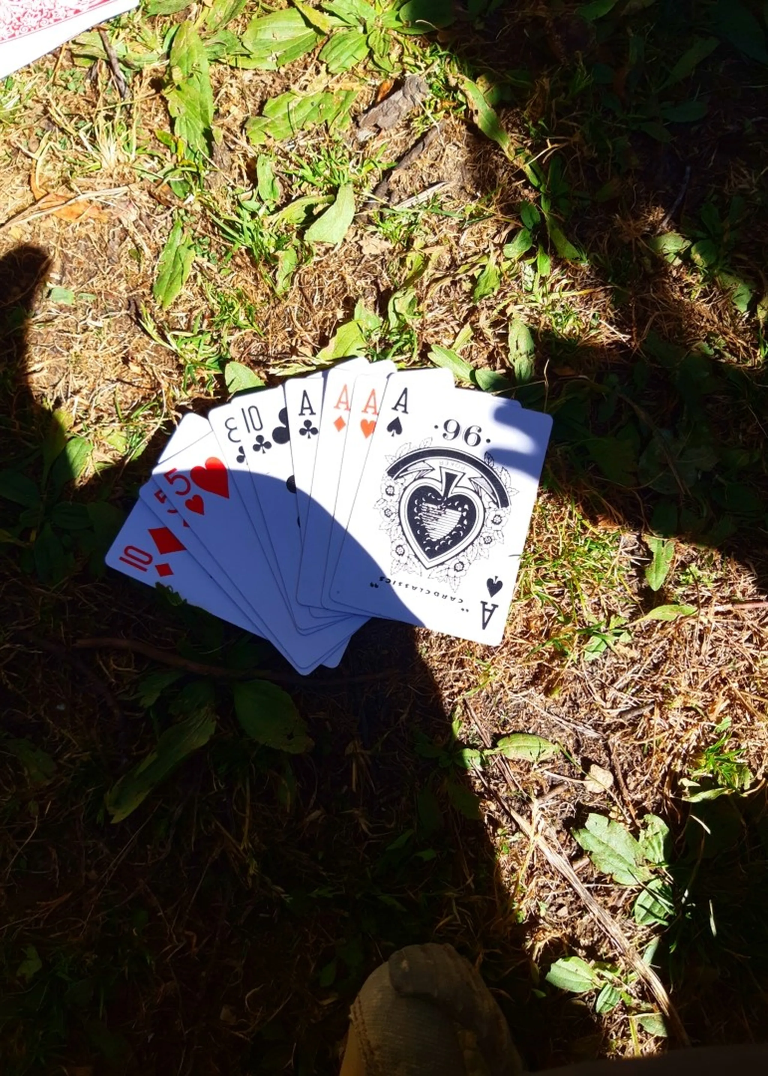 A creative top-down photograph looking down at a fan of playing cards spread out on dry leaf-covered mountain ground, all face-up displaying a remarkable hand - two red tens, a five of hearts, a ten of clubs, and all four aces (clubs, diamonds, hearts, spades) - from a "Card Classics 96" branded deck with a decorative heart emblem on the ace of spades, a shoe tip visible at the bottom edge of the frame, dramatic shadows and sunlight dappling the forest floor, the winning card hand of a surprise game played during the trek rest stop at Shey Phoksundo, card game Nepal trek rest stop, playing cards Himalayan trek break, aces all four card hand Nepal, trekking card game Dolpa Nepal, Nepal trek rest activities, winning hand playing cards trek Nepal