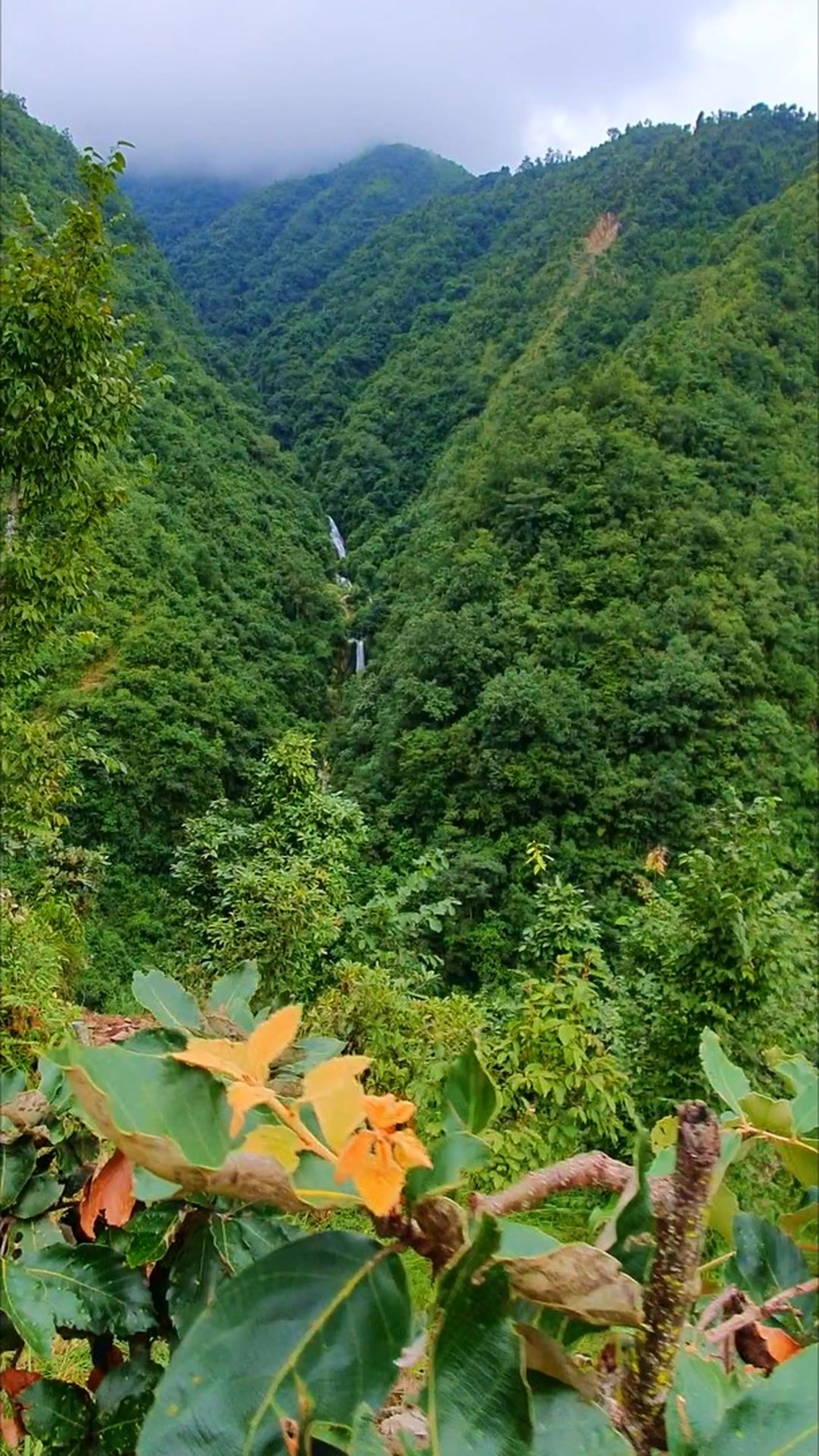 Lush green V-shaped mountain gorge view from the Simba Falls trekking trail in Manikhel Lalitpur Nepal with two tiered white waterfalls clearly visible cascading down the far forested hillside; golden-orange turning tropical leaves in sharp foreground contrast against layers of deep monsoon-green forest receding into misty overcast hills - hidden gem waterfall near Kathmandu Nepal off-beat trekking trail