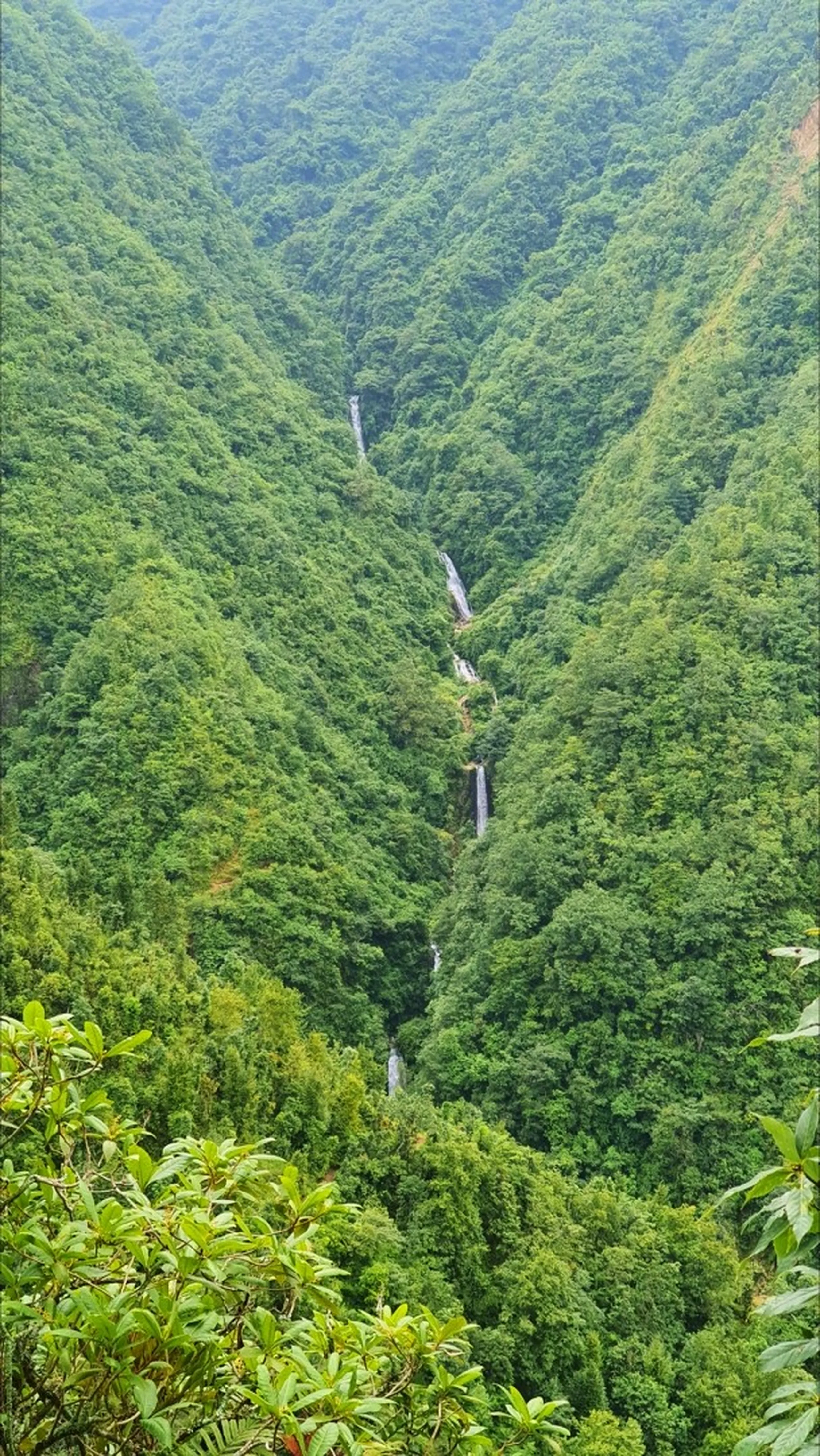 Dramatic wide-angle landscape view of multiple cascading waterfalls at Simba Falls in Manikhel Lalitpur Nepal - four to five distinct white water drops visible in a single vertical line tumbling down a steep densely forested gorge between two massive jungle-covered hills; rich monsoon green forest blanketing the entire valley, rhododendron-like shrubs in the foreground - best hidden waterfall trek near Kathmandu Nepal Lalitpur district