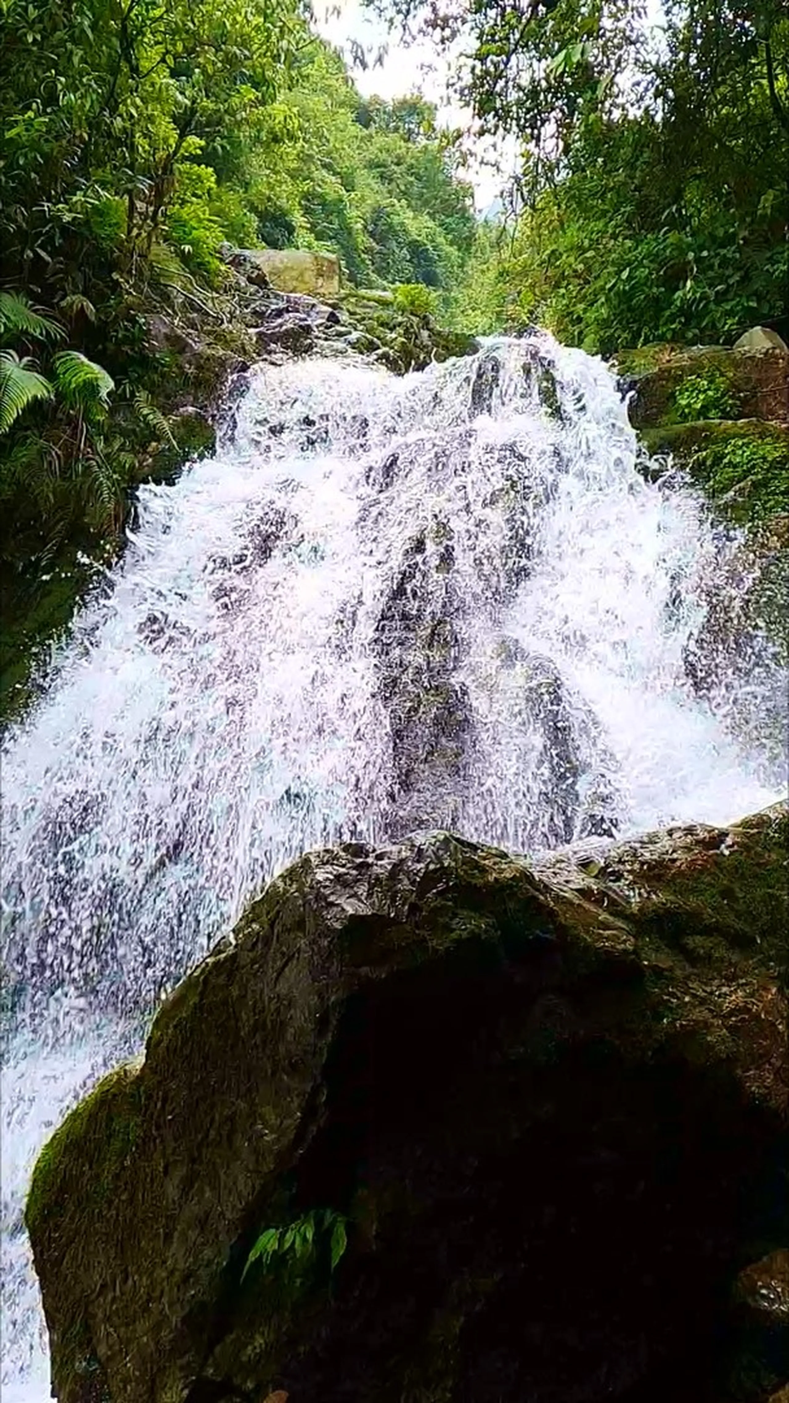Powerful close-up shot of Simba Falls waterfall in Manikhel Lalitpur Nepal - rushing white foamy water crashing over dark moss-covered boulders with tremendous force, splitting into two channels over a large central mossy rock formation; dense tropical ferns and green jungle canopy framing both sides of the waterfall - dramatic Nepal hidden waterfall close-up, Simba Fall Lalitpur trekking destination near Kathmandu