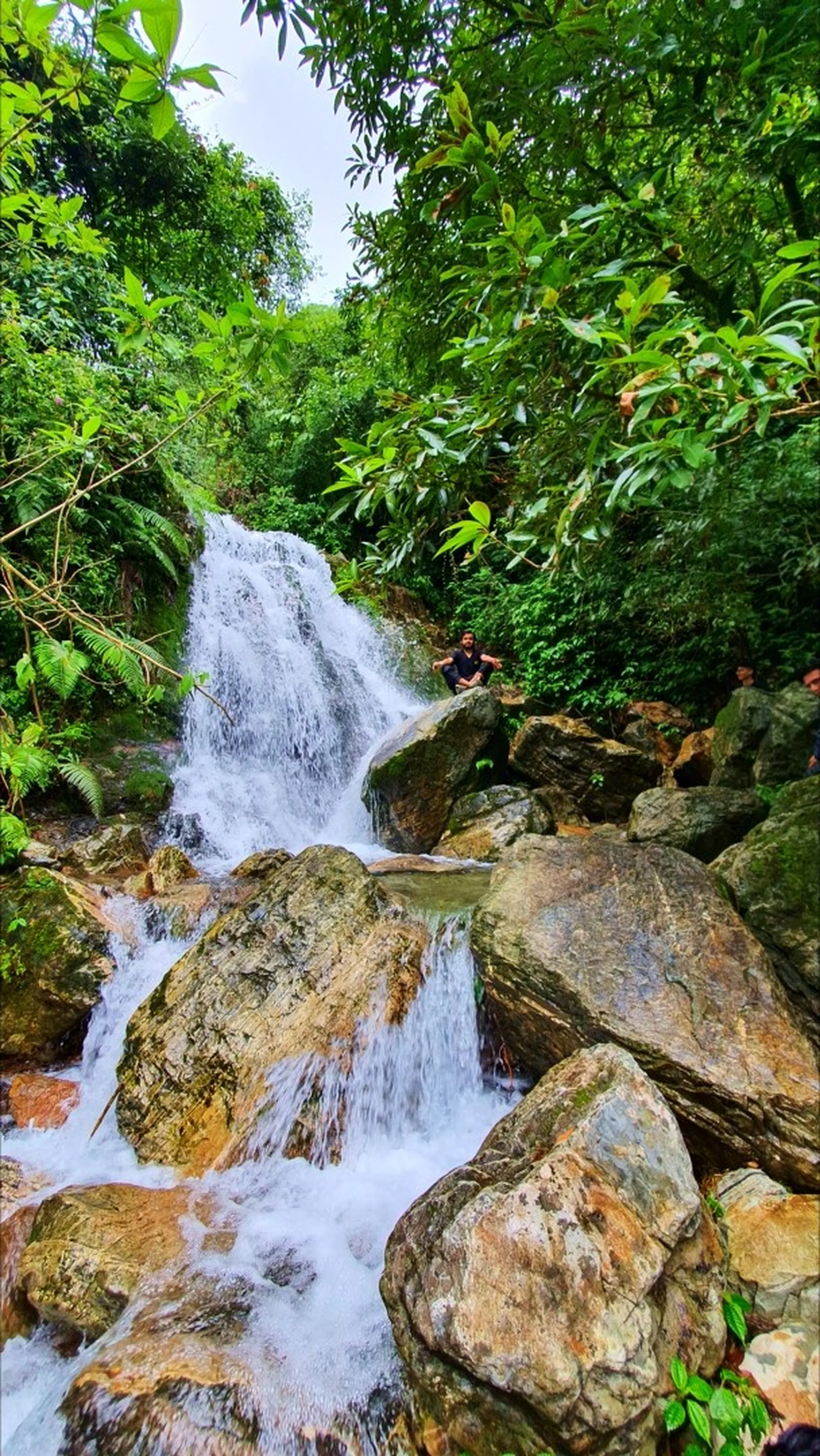 Wide shot of Simba Waterfall in Manikhel Lalitpur Nepal with a lone male trekker in dark clothing sitting cross-legged in a meditative pose on a large mossy boulder midway up the waterfall; cascading white water rushes around him over layered golden-green moss-covered rocks into a shallow pool below, with dense lush green jungle and rhododendron trees surrounding the entire scene - serene Nepal waterfall meditation trekking moment, Simba Falls Lalitpur