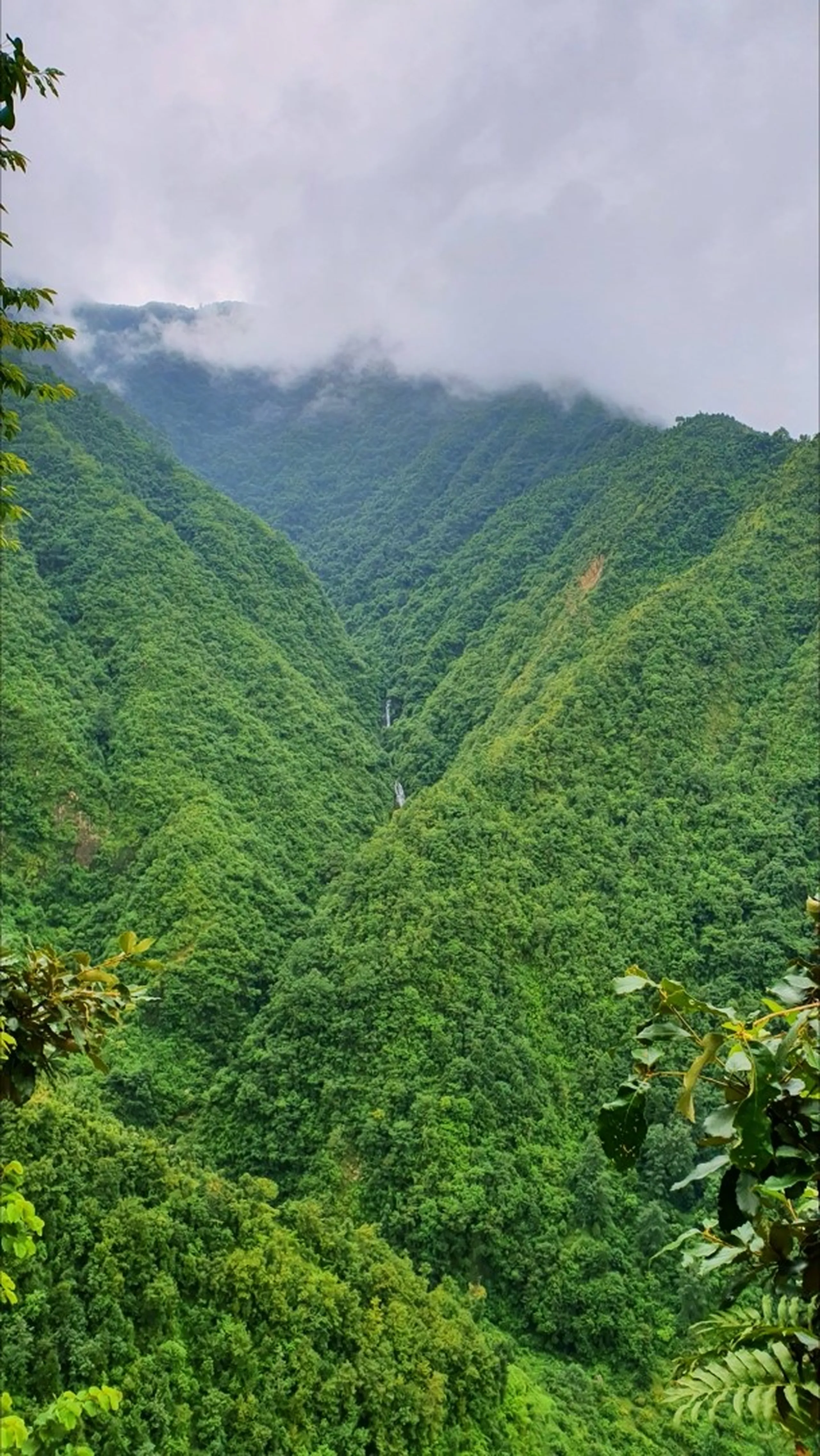Panoramic view of a dramatic deep green valley in Manikhel Lalitpur Nepal with two steep densely forested hillsides converging at the bottom where a tall slender white waterfall - Simba Falls - drops in a narrow cascade through the jungle; overcast monsoon sky with low-lying clouds hugging the ridgeline, lush tropical vegetation in foreground - stunning hidden waterfall Nepal Kathmandu Valley trekking destination