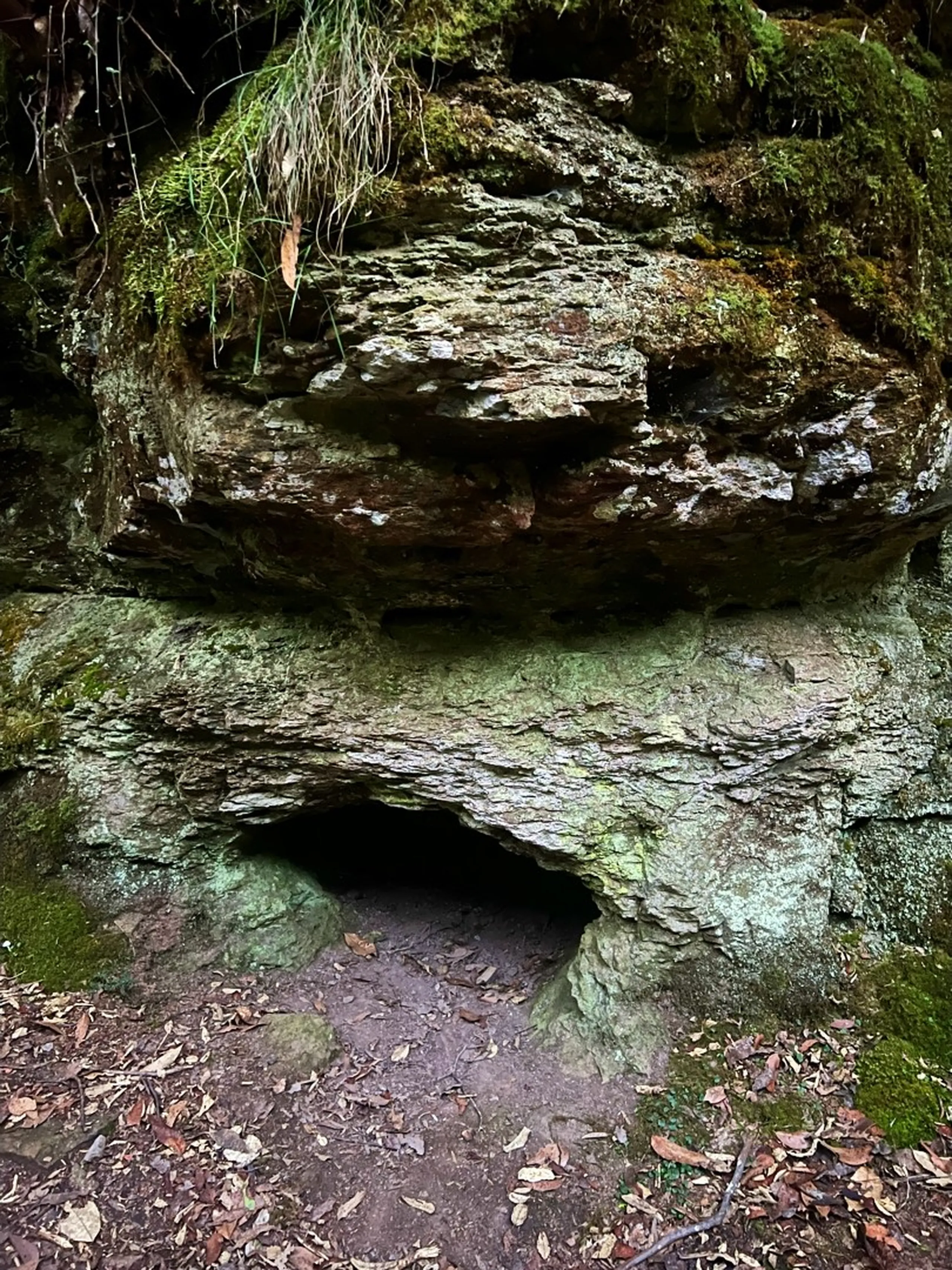 A close-up photograph of a small, ancient-looking natural rock formation in the bush. Two large layered sandstone boulders are stacked - the upper one overhanging the lower one, creating a small, dark cave-like hollow or shelter at the base, just large enough for a person to crouch inside. The rock surfaces are covered in patches of bright green moss, grey-green lichen, and layers of crumbling sediment. Wispy green grass-like plants hang down from the top of the upper boulder. The ground at the base is dark brown soil scattered with dry leaves and small twigs. The surrounding forest is dark and shadowy. The formation has an eerie, primordial quality - like a tiny hidden grotto or a fairy-tale cave mouth tucked into the forest floor.