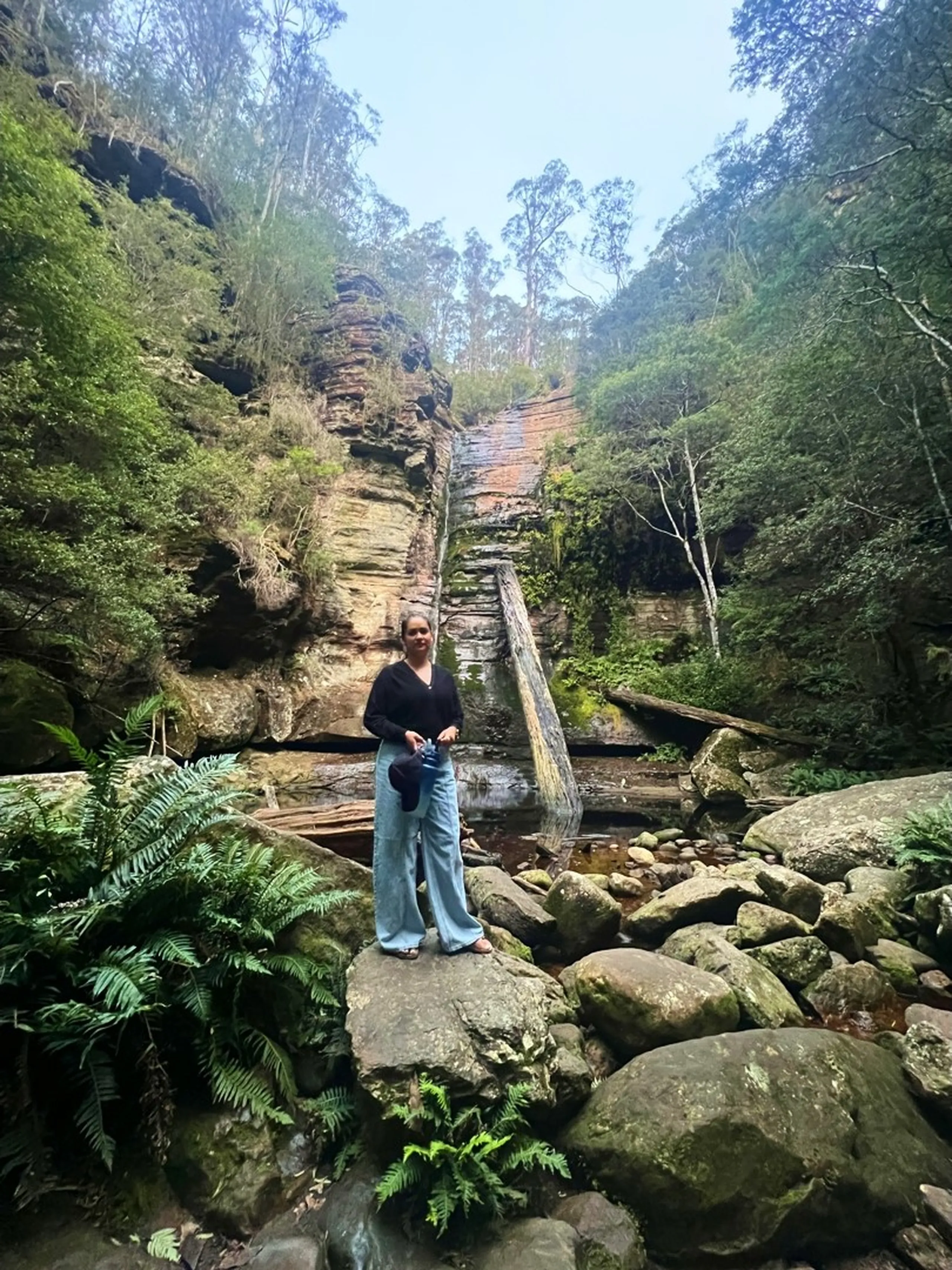 A wide full-body shot of a woman standing on a large rounded rock at the base of the same sandstone waterfall gorge. She wears a black long-sleeve top, light blue wide-leg jeans, and sandals, holding a dark item (possibly a cap or bag) at her side. The waterfall descends in a narrow silver ribbon from high above, splitting around a large fallen weathered log that leans diagonally across the rock face. The gorge walls on either side are towering, layered sandstone in shades of amber, rust, and cream, draped with green moss and vegetation. Lush tree ferns fill the lower foreground on both sides. The scale of the cliff makes the woman appear small against the landscape. The sky above the gorge is a pale, hazy blue.