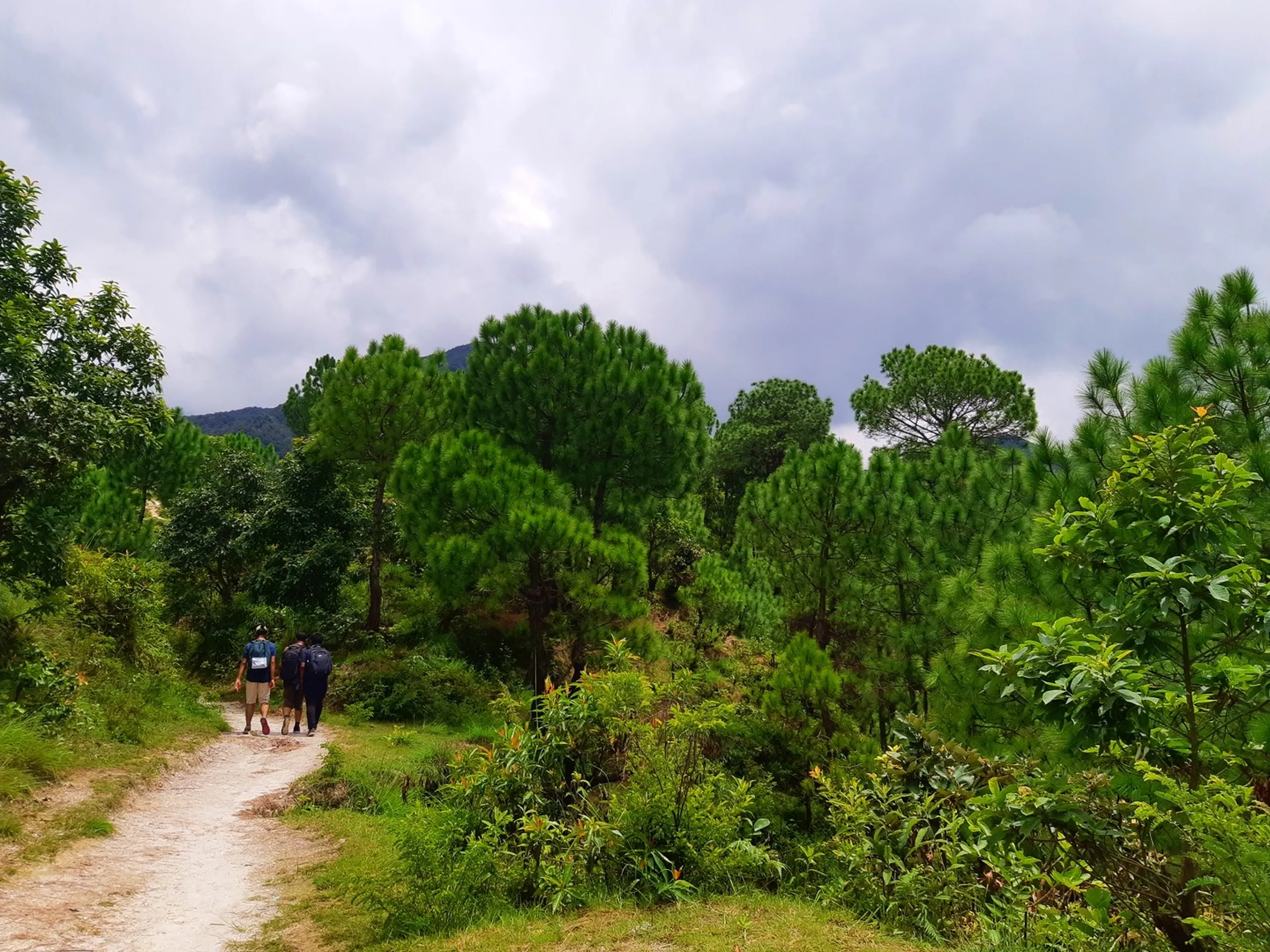 Three backpackers walking away on a narrow dirt trail flanked by dense green pine and mixed forest, dark dramatic cloudy sky overhead with misty mountain ridgeline in the distance - Sundarijal trek group hiking Nepal monsoon season trail