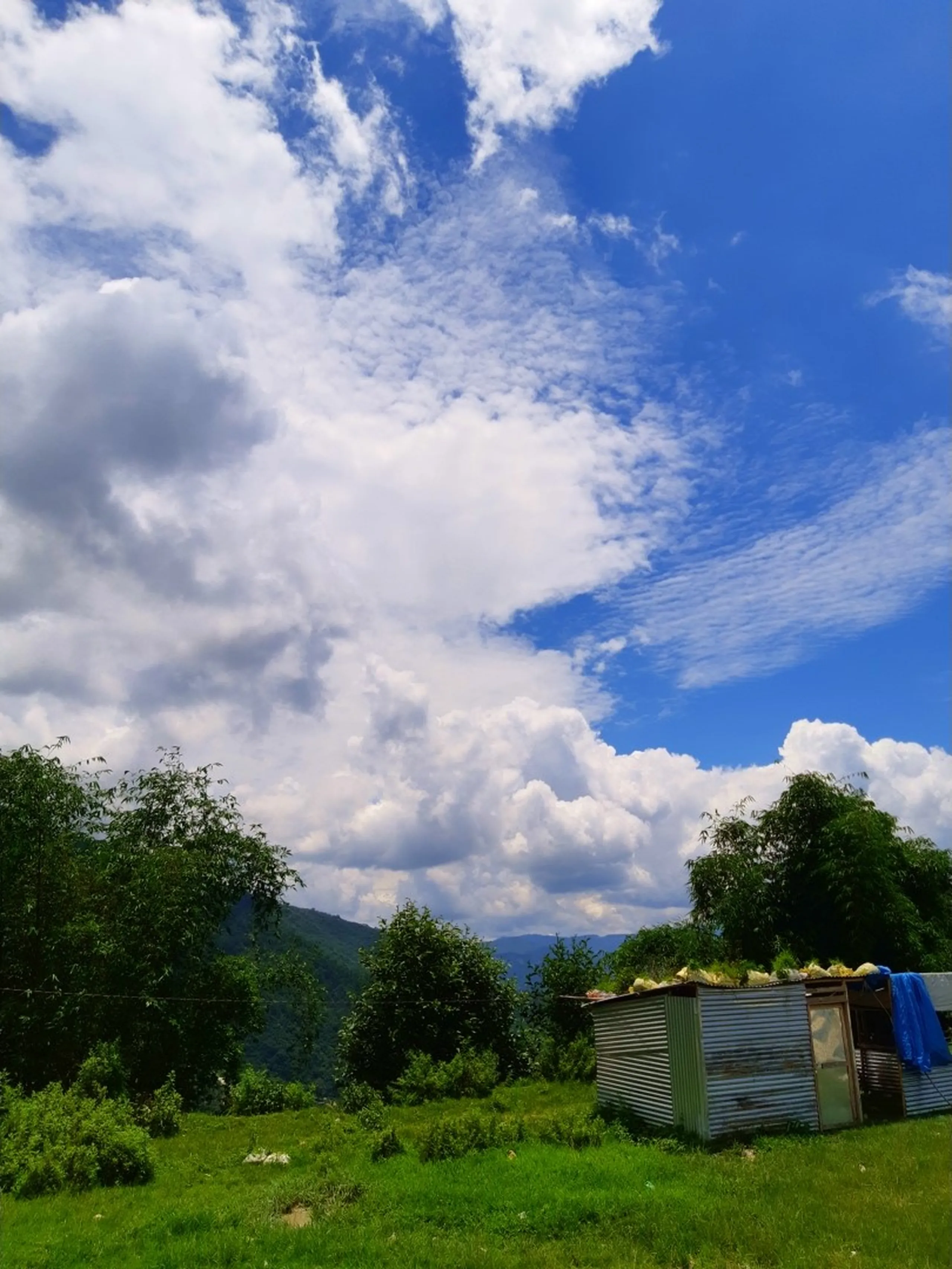 Rustic corrugated iron shed with yellow sacks on rooftop surrounded by lush green trees and shrubs on a hillside, brilliant blue sky filled with dramatic white and grey cumulus clouds dominating the frame - Nepal rural hillside landscape monsoon trekking